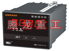 溫度表、數(shù)字顯示儀、濕度表