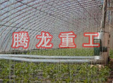 大棚花卉供暖設(shè)備、大棚卉采暖設(shè)備、大棚花卉取暖設(shè)備