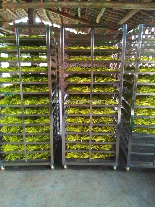 黃花菜烘干機、黃花菜烘干設(shè)備、黃花菜干燥機、黃花菜干燥設(shè)備、